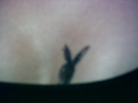 tatoo