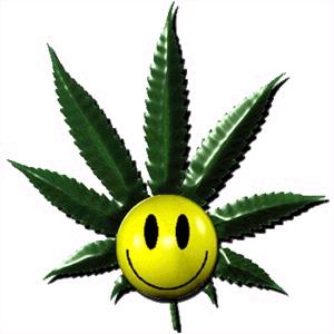 pot